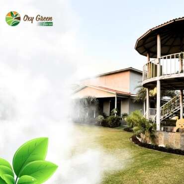 What’s on the Market in Australia