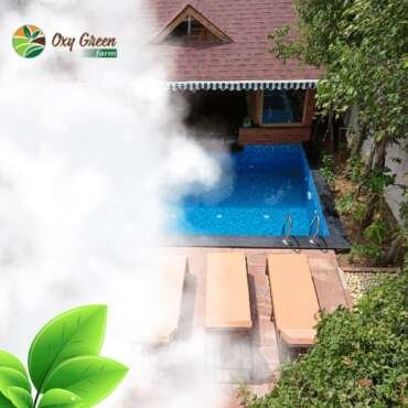 What to Expect While Property-Hunting