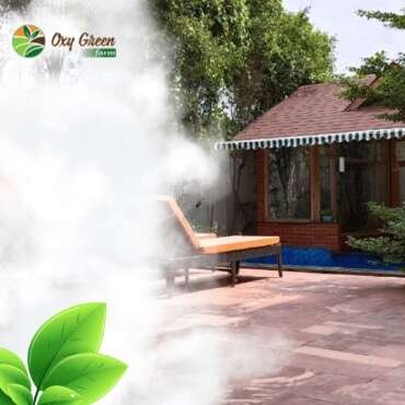 Miami is the Leader of Property Sales