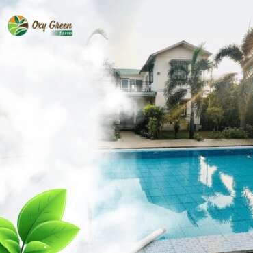 Classy vs Vintage: Apartment Tour