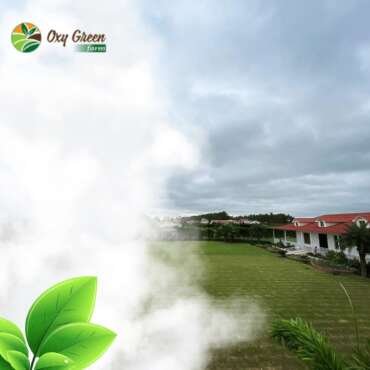 Rooftop Modern Solutions